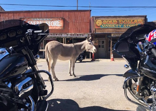 Oatman on Route 66 Long Way Down