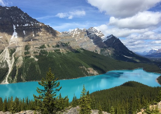 Peyto Lake