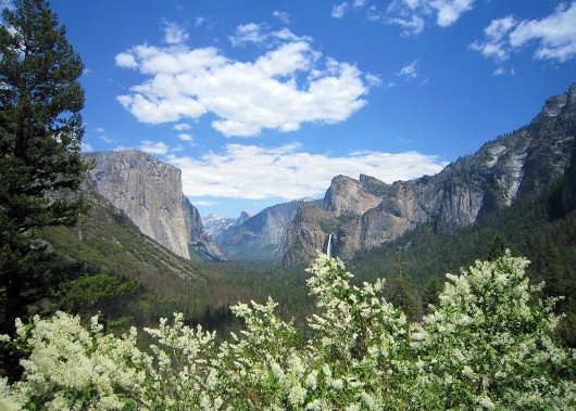 Yosemite National Park on Orange & Black tour